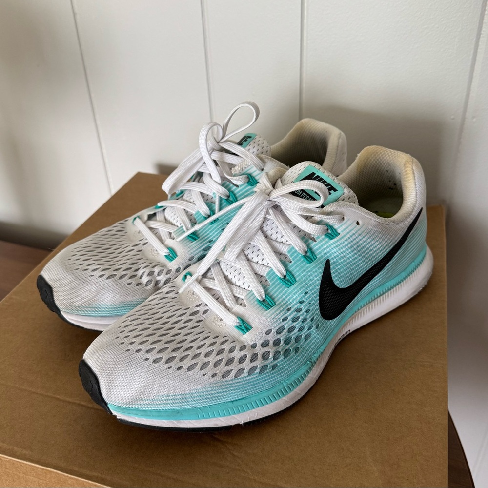 Nike Women's Pegasus 34